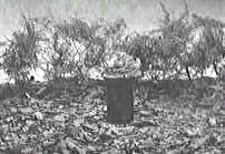 figs1.bmp (84566 bytes)